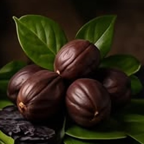 Huile de jojoba